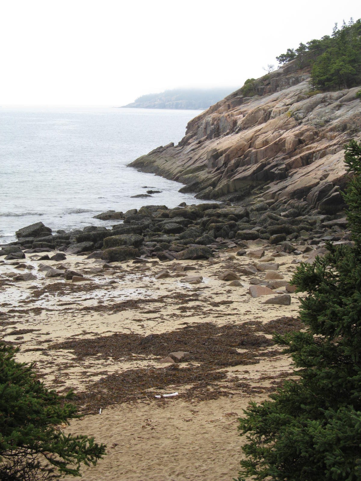 acadia national park conservation efforts