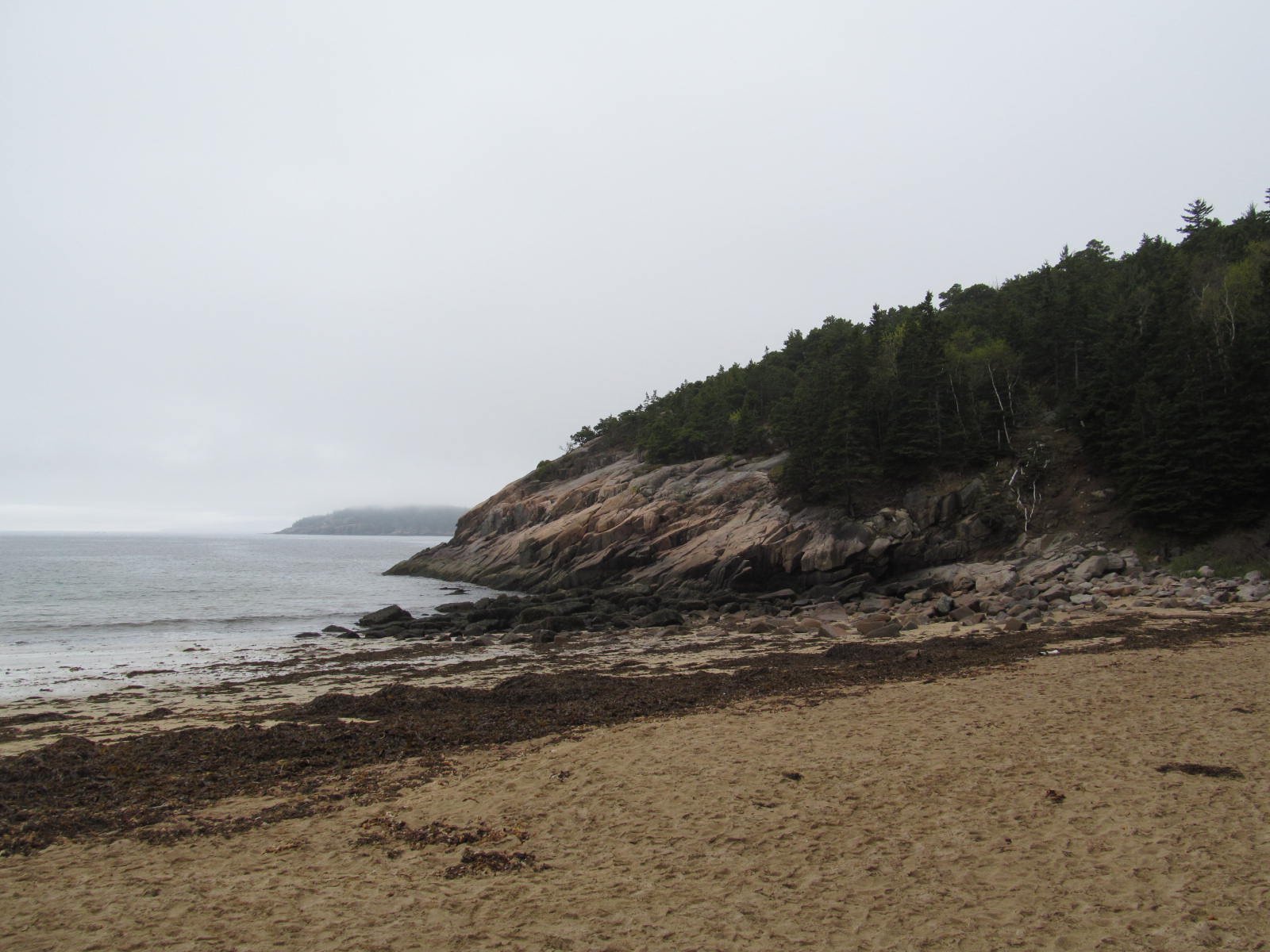 bonfire area acadia national park