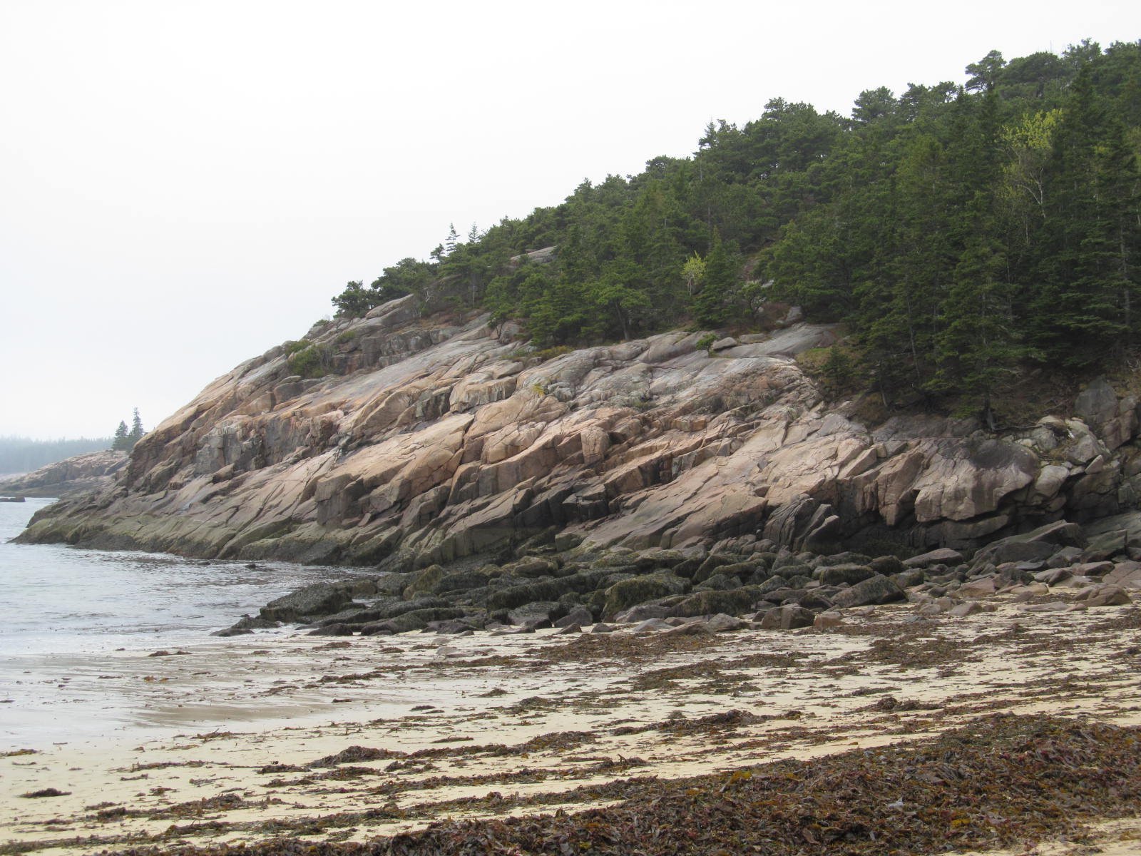 kayak acadia national park with guide