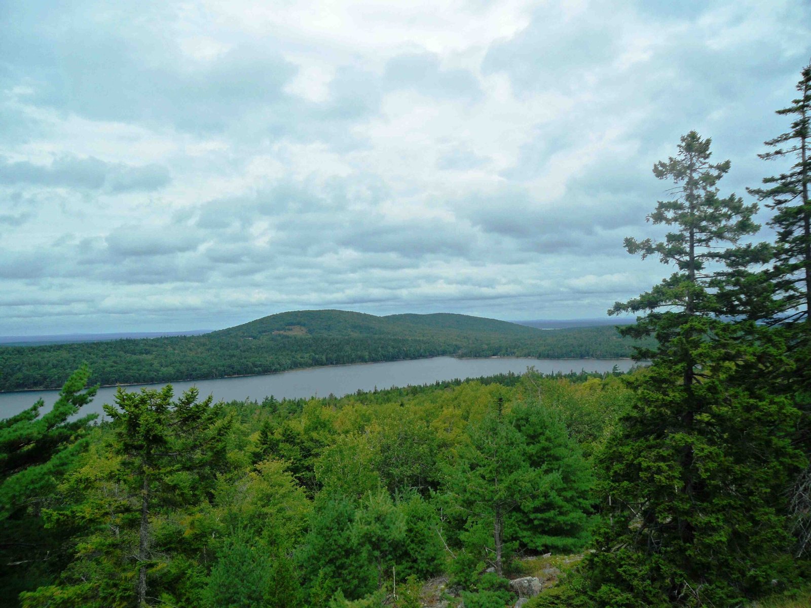 acadia national park cadillac mountain glacial derived cliffs