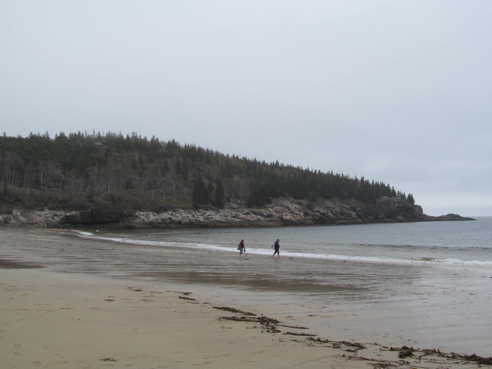 acadia national park facts for students