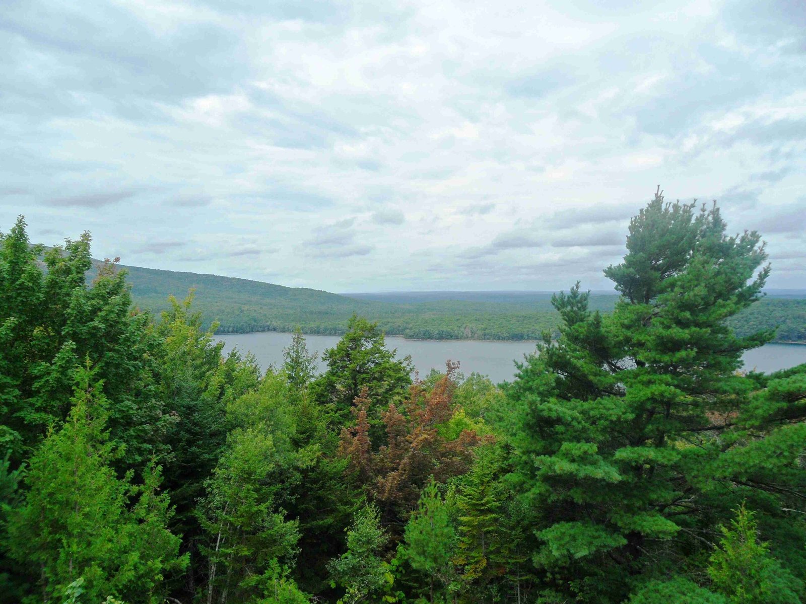 favorite acadia national park cabins you can rent